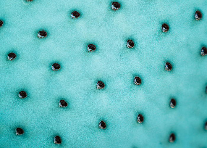 Skin Concern: Blackheads