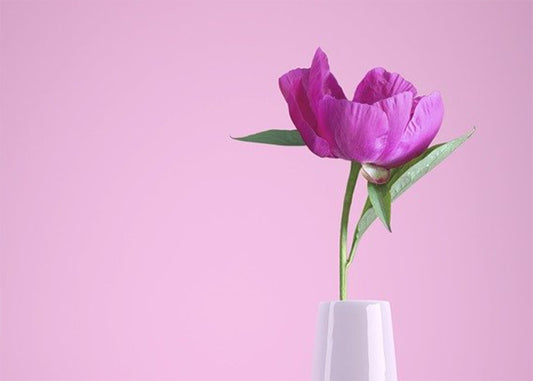 Skincare Ingredients We're Thankful For