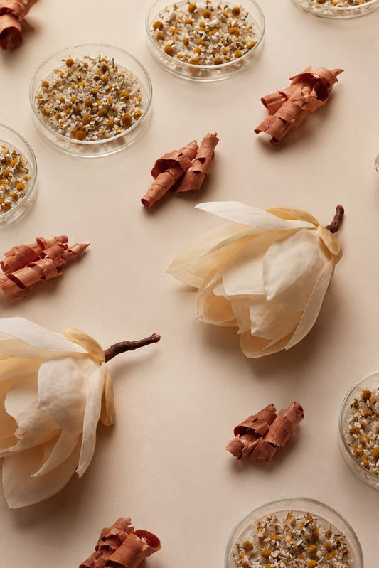 The Ingredients That Make Korean Skincare Different