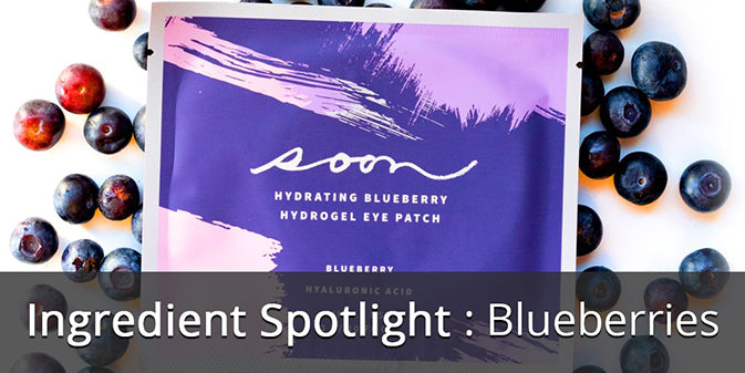 Ingredient Spotlight: Blueberries