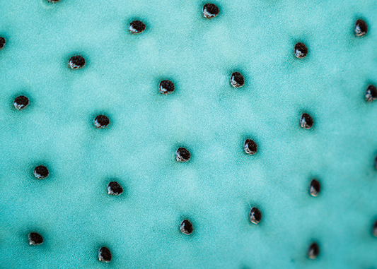 Skin Concern: Blackheads